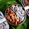 آجیل عربی درجه 1
