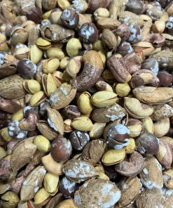 چهار مغز با پوست 500 گرمی