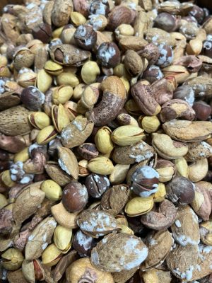 چهار مغز با پوست 500 گرمی